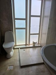 Carpmael Road (D15), Terrace #581303621